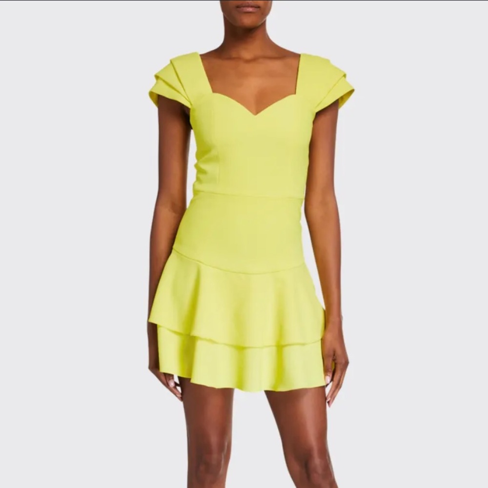 Alice + Olivia Brinda Double Ruffle Fit Flare Dress